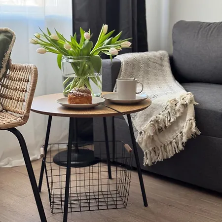 Апартаменты Comfy Center Елгава