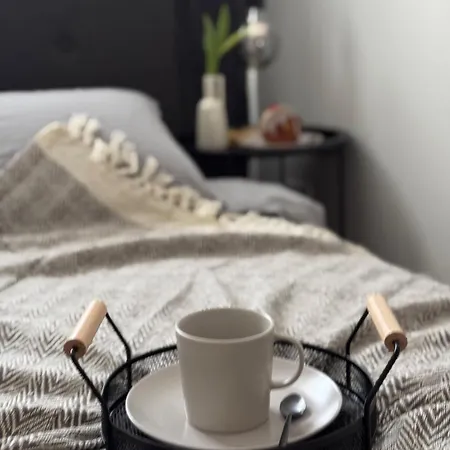 Comfy Center Апартаменты *