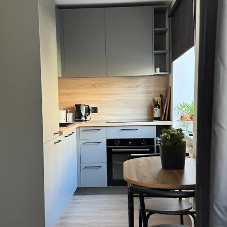Apartment Comfy Center Jelgava