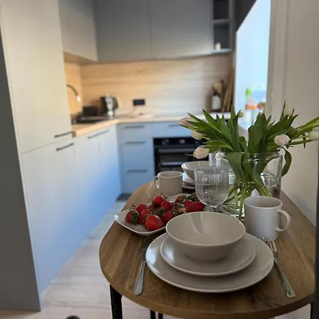 Apartment Comfy Center Jelgava