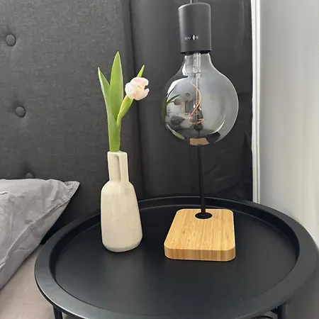 Comfy Center Apartment